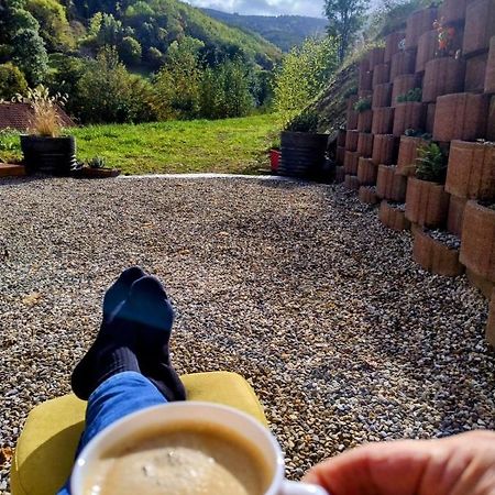 L'Ecrin Des Biches Bed and Breakfast Sainte-Marie-aux-Mines Εξωτερικό φωτογραφία