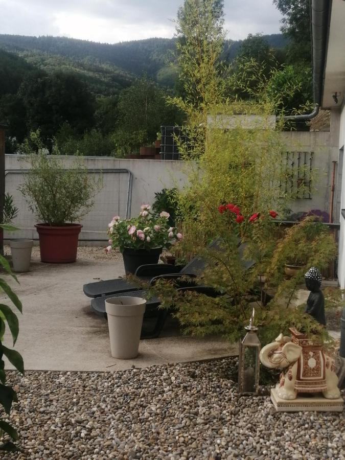 L'Ecrin Des Biches Bed and Breakfast Sainte-Marie-aux-Mines Εξωτερικό φωτογραφία