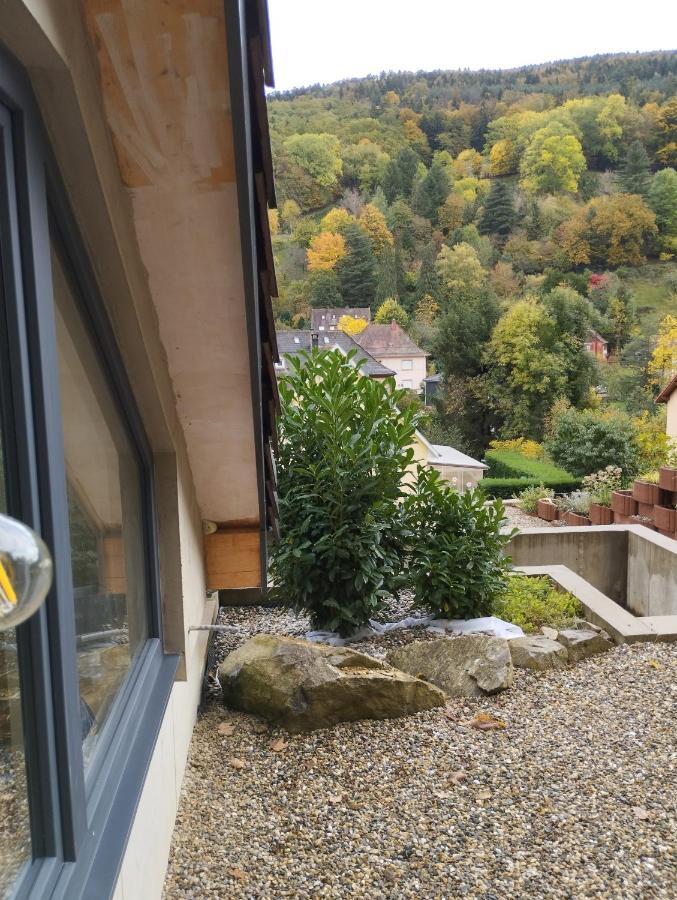 L'Ecrin Des Biches Bed and Breakfast Sainte-Marie-aux-Mines Εξωτερικό φωτογραφία